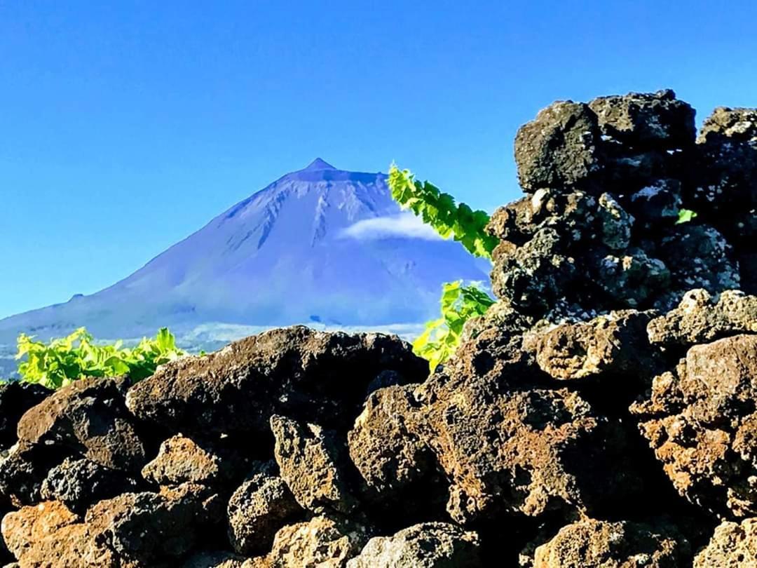 Вилла Baco'S Vineyard Lajido Экстерьер фото